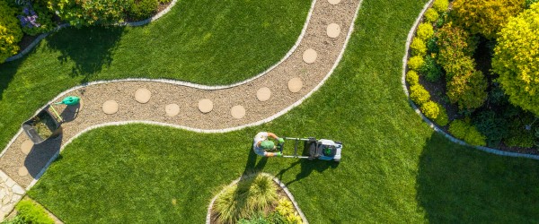 Big Garden Grass Field Mowing by Caucasian Gardener